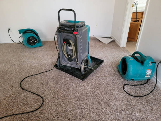 Best Mold removal after water damage  in Pacheco, CA