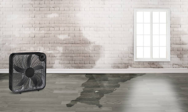 Best Commercial water damage restoration  in Pacheco, CA